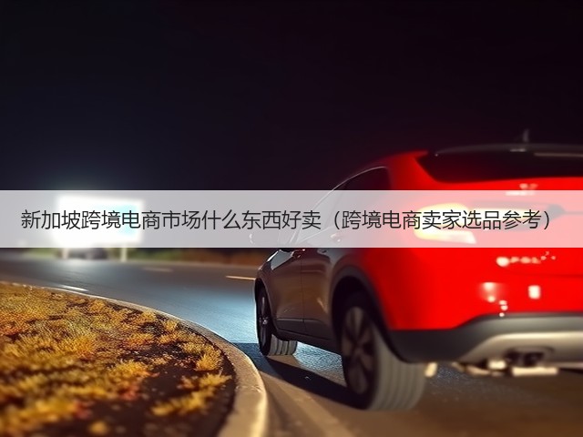 新加坡跨境电商市场什么东西好卖(跨境电商卖家选品参考)(图3) 新加坡跨境电商市场什么东西好卖(跨境电商卖家选品参考)(图3)