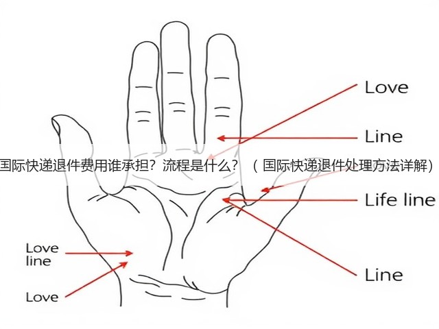 国际快递退件费用谁承担?流程是什么?( 国际快递退件处理方法详解)(图3) 国际快递退件费用谁承担?流程是什么?( 国际快递退件处理方法详解)(图3)