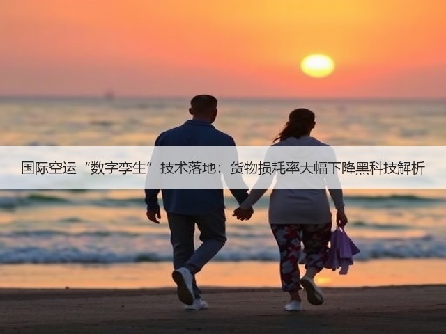 国际空运“数字孪生”技术落地:货物损耗率大幅下降黑科技解析(图2) 国际空运“数字孪生”技术落地:货物损耗率大幅下降黑科技解析(图2)