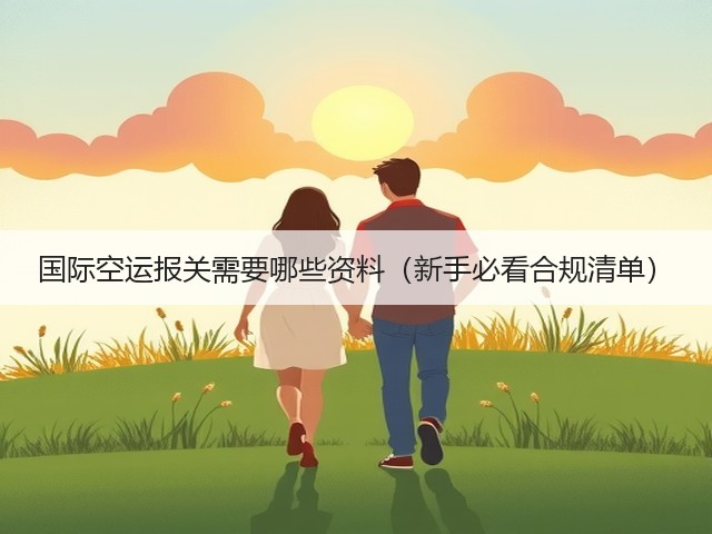 国际空运报关需要哪些资料(新手必看合规清单)(图3) 国际空运报关需要哪些资料(新手必看合规清单)(图3)
