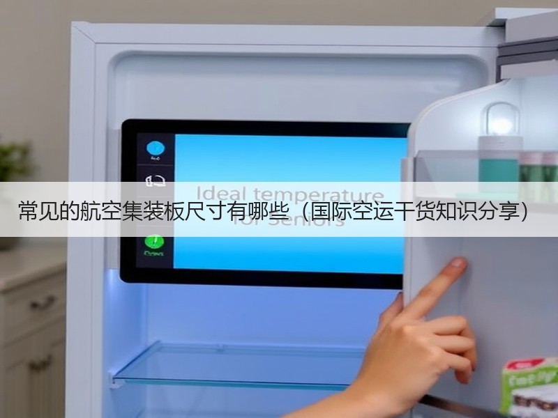 常见的航空集装板尺寸有哪些（国际空运干货知识分享）