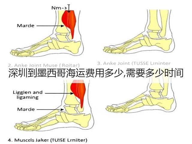 深圳到墨西哥海运费用多少,需要多少时间(图1) 深圳到墨西哥海运费用多少,需要多少时间(图1)