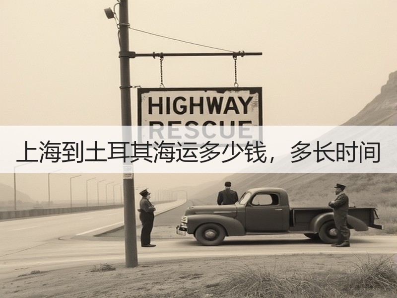 上海到土耳其海运多少钱,多长时间 上海到土耳其海运多少钱,多长时间