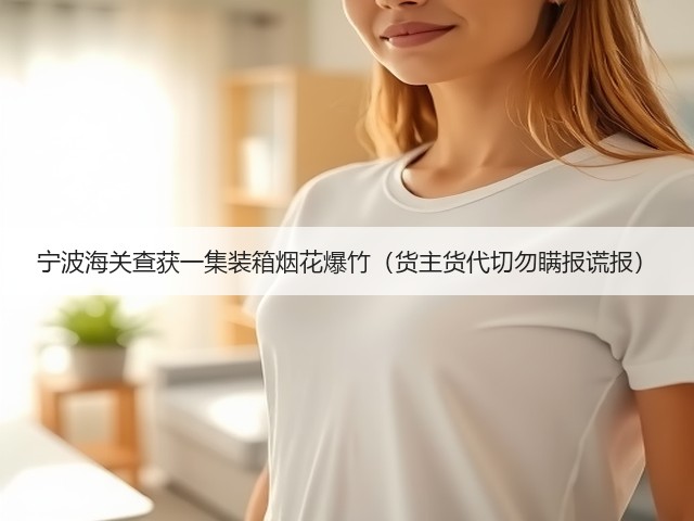 宁波海关查获一集装箱烟花爆竹(货主货代切勿瞒报谎报)(图3) 宁波海关查获一集装箱烟花爆竹(货主货代切勿瞒报谎报)(图3)