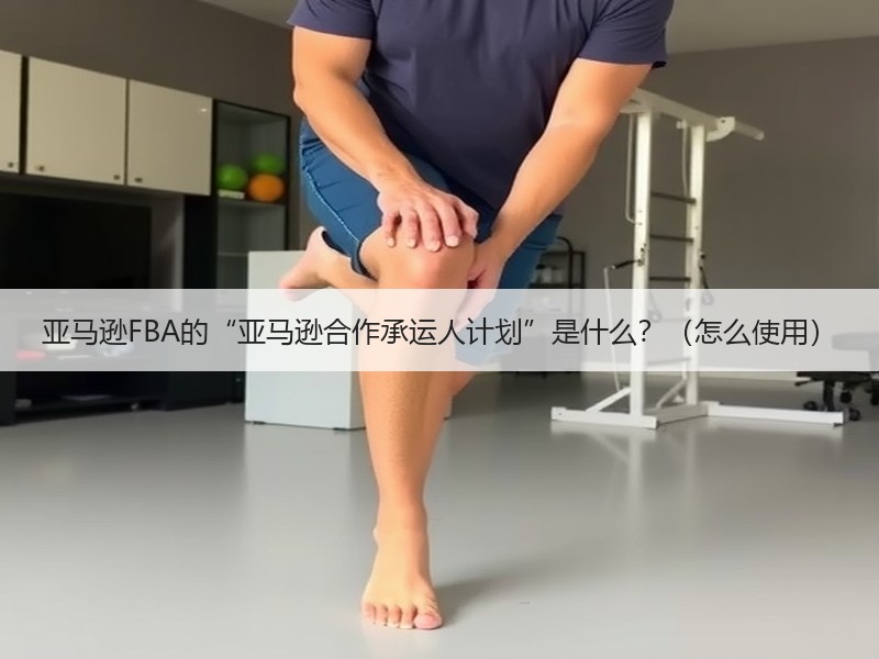 亚马逊FBA的“亚马逊合作承运人计划”是什么?(怎么使用) 亚马逊FBA的“亚马逊合作承运人计划”是什么?(怎么使用)