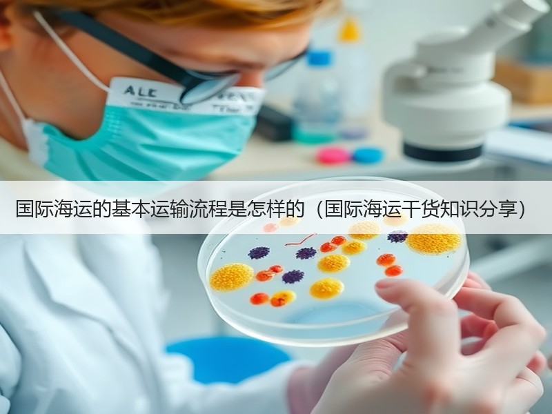 国际海运的基本运输流程是怎样的（国际海运干货知识分享）