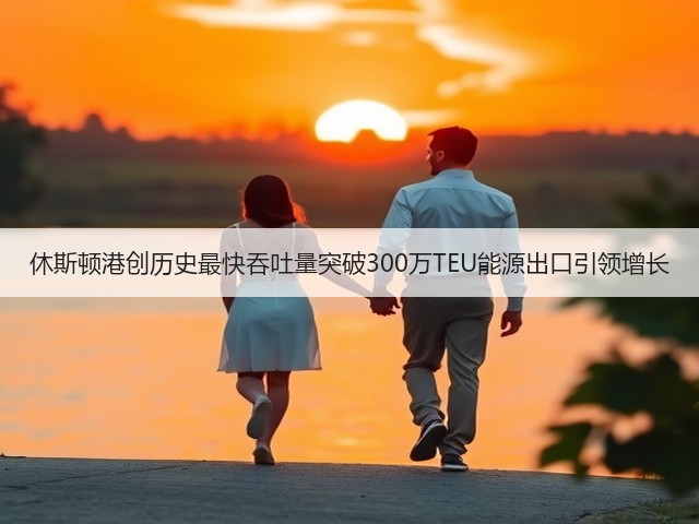 休斯顿港创历史最快吞吐量突破300万TEU能源出口引领增长(图3) 休斯顿港创历史最快吞吐量突破300万TEU能源出口引领增长(图3)