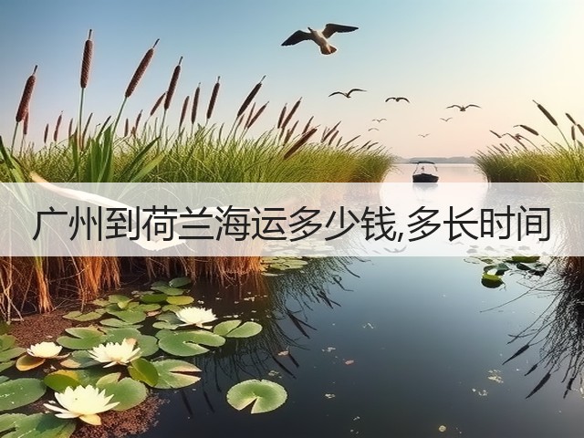 广州到荷兰海运多少钱,多长时间(图2) 广州到荷兰海运多少钱,多长时间(图2)