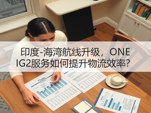 印度-海湾航线升级，ONE IG2服务如何提升物流效率？(图3)
