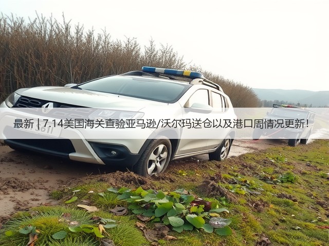 最新 | 7.14美国海关查验亚马逊/沃尔玛送仓以及港口周情况更新!(图3) 最新 | 7.14美国海关查验亚马逊/沃尔玛送仓以及港口周情况更新!(图3)