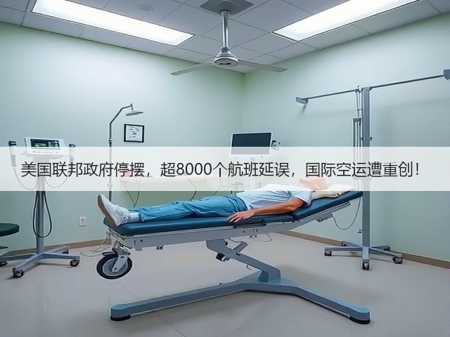 美国联邦政府停摆,超8000个航班延误,国际空运遭重创!(图2) 美国联邦政府停摆,超8000个航班延误,国际空运遭重创!(图2)