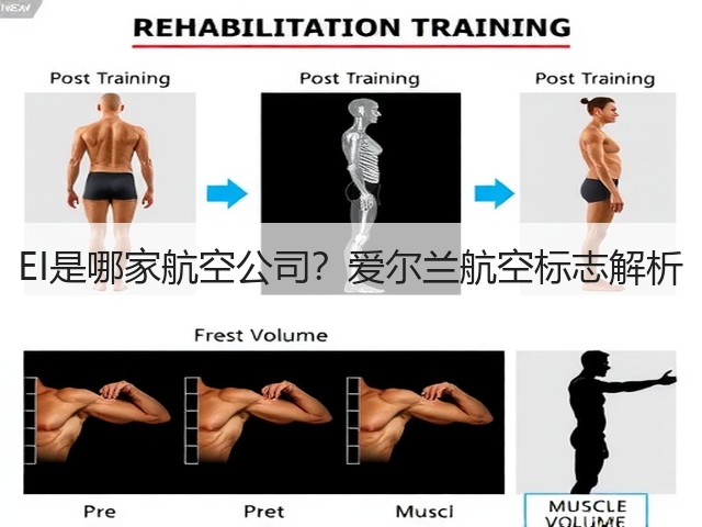 EI是哪家航空公司?爱尔兰航空标志解析(图1) EI是哪家航空公司?爱尔兰航空标志解析(图1)