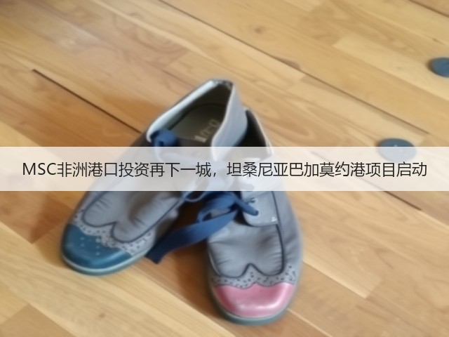 MSC非洲港口投资再下一城，坦桑尼亚巴加莫约港项目启动(图1)