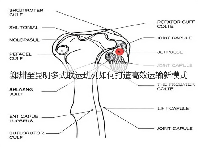 郑州至昆明多式联运班列如何打造高效运输新模式(图3)