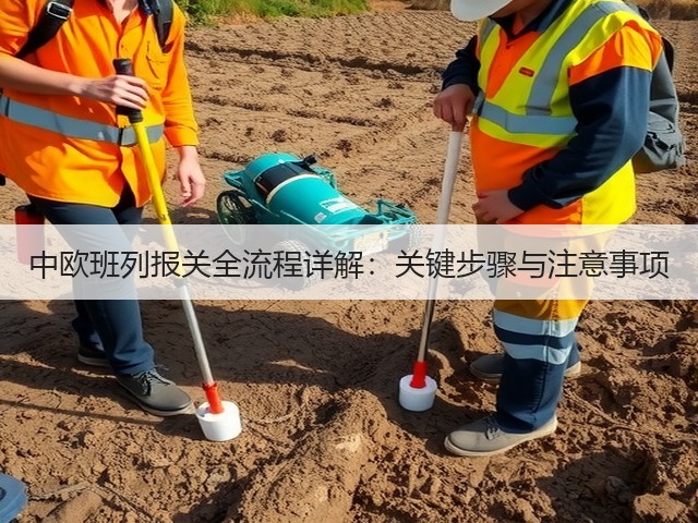 中欧班列报关全流程详解:关键步骤与注意事项(图2) 中欧班列报关全流程详解:关键步骤与注意事项(图2)