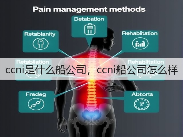 ccni是什么船公司,ccni船公司怎么样(图1) ccni是什么船公司,ccni船公司怎么样(图1)