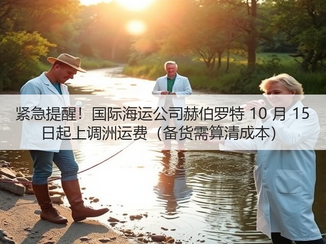 紧急提醒!国际海运公司赫伯罗特 10 月 15 日起上调洲运费(备货需算清成本)(图3) 紧急提醒!国际海运公司赫伯罗特 10 月 15 日起上调洲运费(备货需算清成本)(图3)