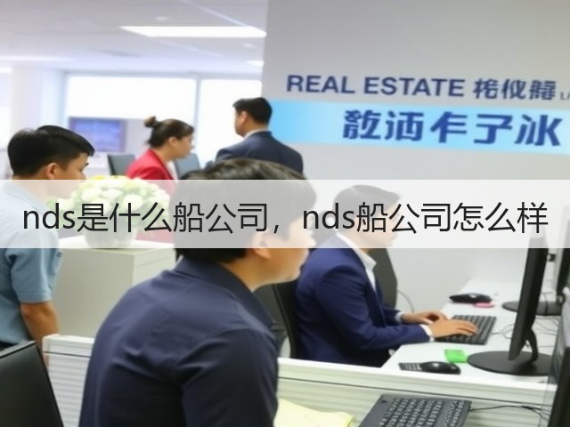 nds是什么船公司,nds船公司怎么样(图3) nds是什么船公司,nds船公司怎么样(图3)