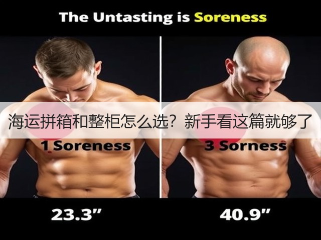 海运拼箱和整柜怎么选？新手看这篇就够了(图1)