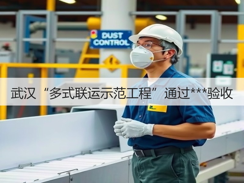 武汉“多式联运示范工程”通过***验收 武汉“多式联运示范工程”通过***验收