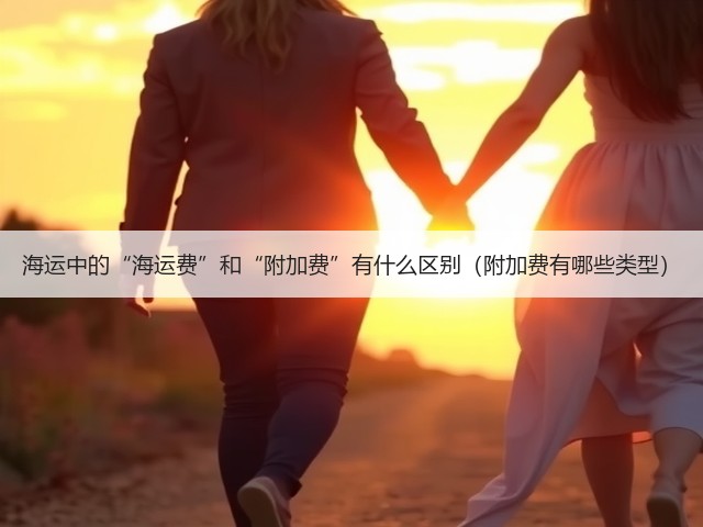 海运中的“海运费”和“附加费”有什么区别(附加费有哪些类型)(图1) 海运中的“海运费”和“附加费”有什么区别(附加费有哪些类型)(图1)