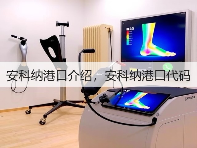 安科纳港口介绍,安科纳港口代码(图3) 安科纳港口介绍,安科纳港口代码(图3)