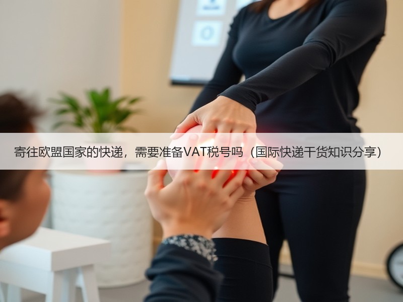 寄往欧盟国家的快递，需要准备VAT税号吗（国际快递干货知识分享）