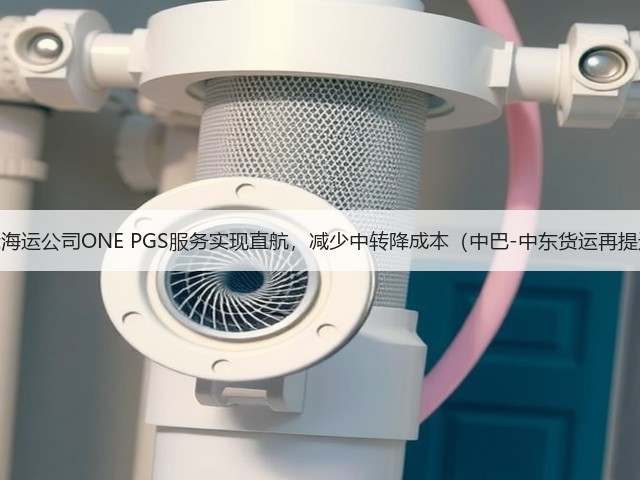 国际海运公司ONE PGS服务实现直航,减少中转降成本(中巴-中东货运再提速)(图1) 国际海运公司ONE PGS服务实现直航,减少中转降成本(中巴-中东货运再提速)(图1)