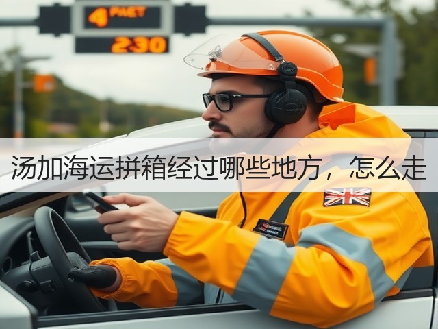 汤加海运拼箱经过哪些地方,怎么走(图1) 汤加海运拼箱经过哪些地方,怎么走(图1)