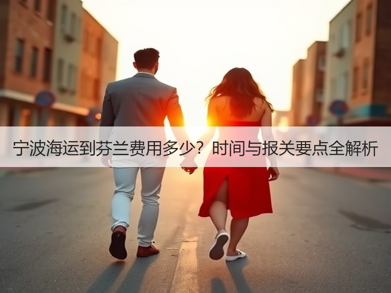 宁波海运到芬兰费用多少?时间与报关要点全解析 宁波海运到芬兰费用多少?时间与报关要点全解析
