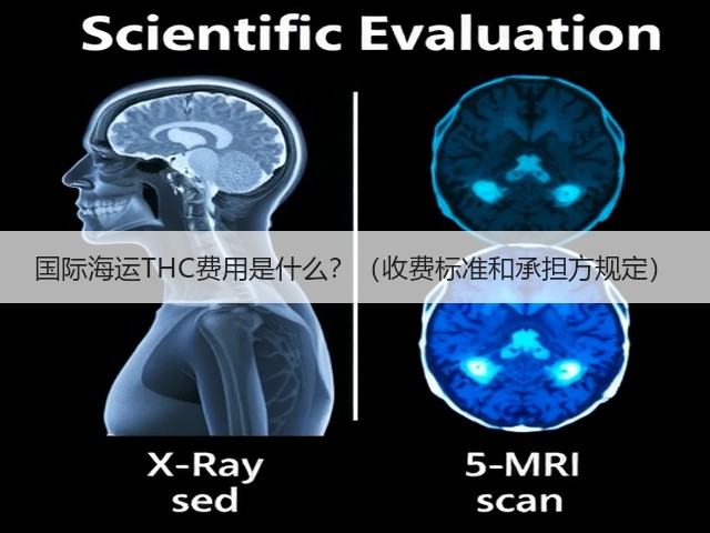 国际海运THC费用是什么?(收费标准和承担方规定)(图2) 国际海运THC费用是什么?(收费标准和承担方规定)(图2)