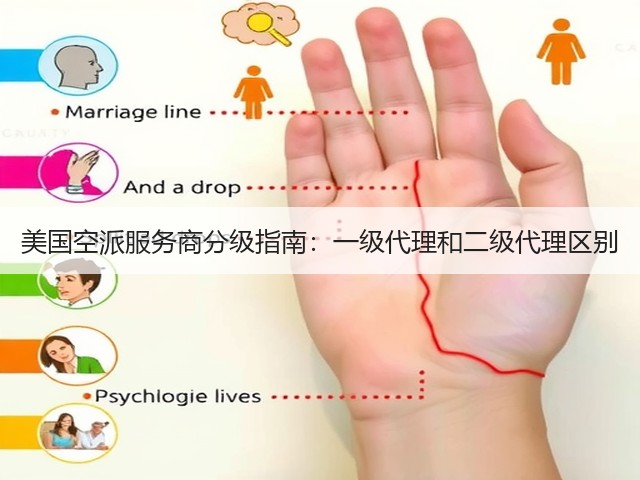 美国空派服务商分级指南:一级代理和二级代理区别(图1) 美国空派服务商分级指南:一级代理和二级代理区别(图1)