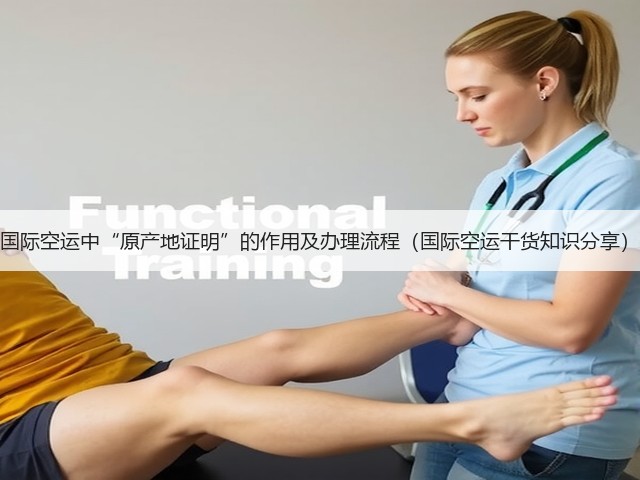 国际空运中“原产地证明”的作用及办理流程(国际空运干货知识分享)(图2) 国际空运中“原产地证明”的作用及办理流程(国际空运干货知识分享)(图2)
