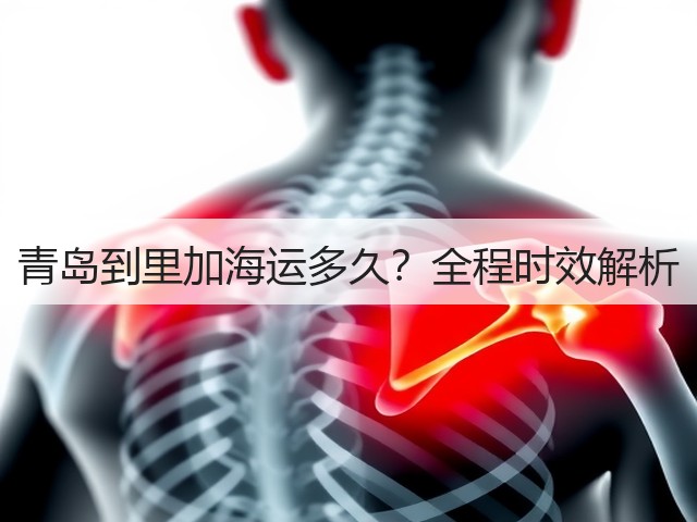青岛到里加海运多久?全程时效解析(图3) 青岛到里加海运多久?全程时效解析(图3)