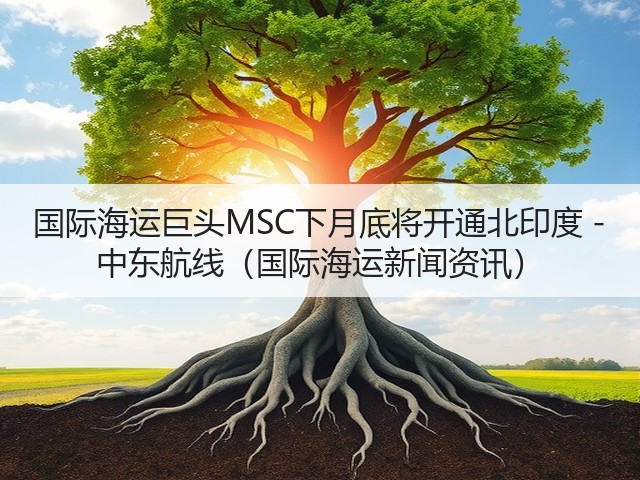 国际海运巨头MSC下月底将开通北印度 - 中东航线（国际海运新闻资讯）(图2)