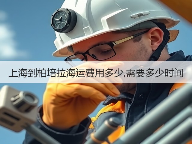 上海到柏培拉海运费用多少,需要多少时间(图2) 上海到柏培拉海运费用多少,需要多少时间(图2)