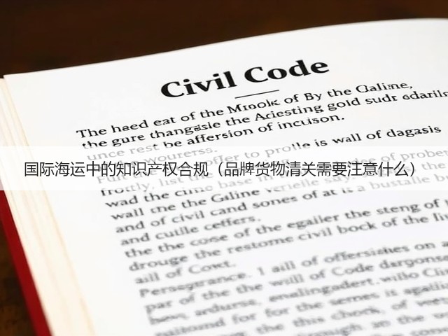 国际海运中的知识产权合规(品牌货物清关需要注意什么)(图2) 国际海运中的知识产权合规(品牌货物清关需要注意什么)(图2)