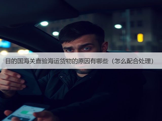 目的国海关查验海运货物的原因有哪些（怎么配合处理）(图2)