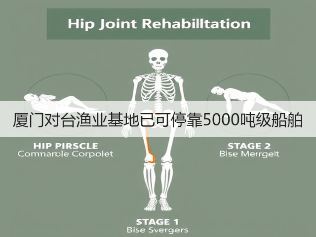 厦门对台渔业基地已可停靠5000吨级船舶(图3) 厦门对台渔业基地已可停靠5000吨级船舶(图3)