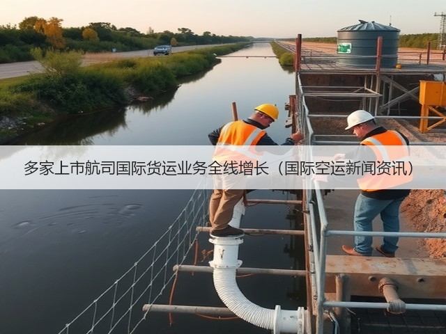 多家上市航司国际货运业务全线增长（国际空运新闻资讯）(图3)