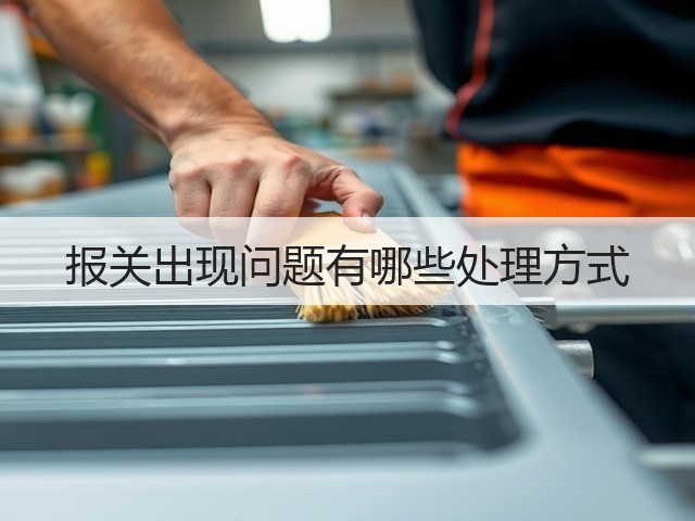 报关出现问题有哪些处理方式(图1) 报关出现问题有哪些处理方式(图1)