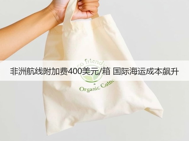 非洲航线附加费400美元/箱 国际海运成本飙升(图3) 非洲航线附加费400美元/箱 国际海运成本飙升(图3)