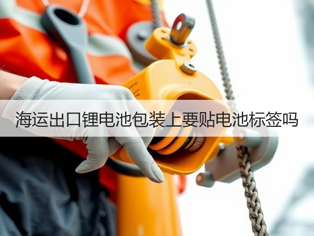 海运出口锂电池包装上要贴电池标签吗(图2) 海运出口锂电池包装上要贴电池标签吗(图2)
