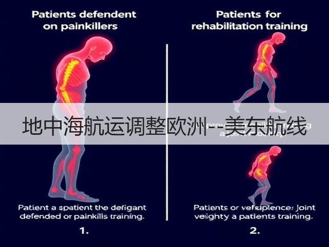 地中海航运调整欧洲--美东航线(图2) 地中海航运调整欧洲--美东航线(图2)