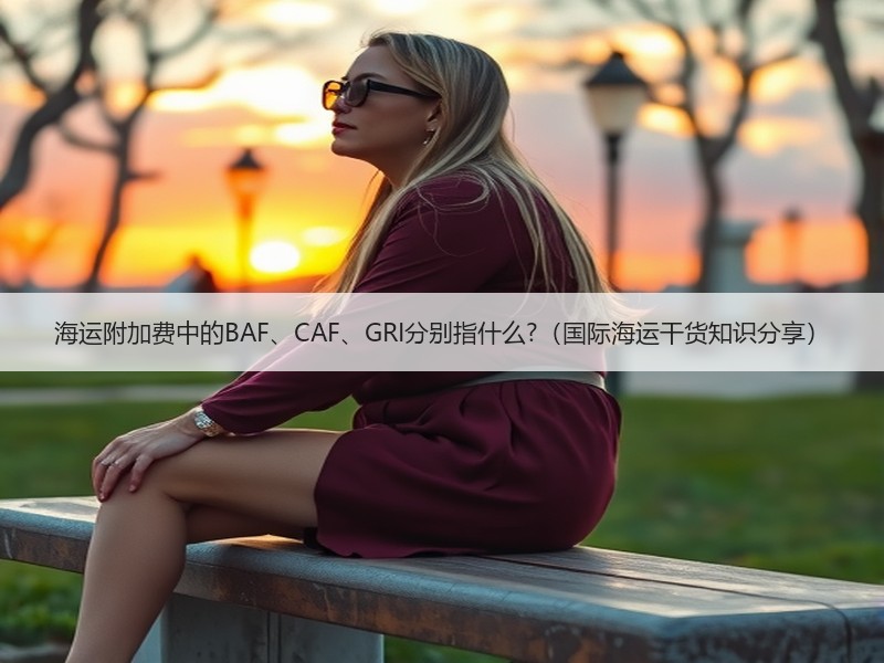海运附加费中的BAF、CAF、GRI分别指什么?（国际海运干货知识分享）