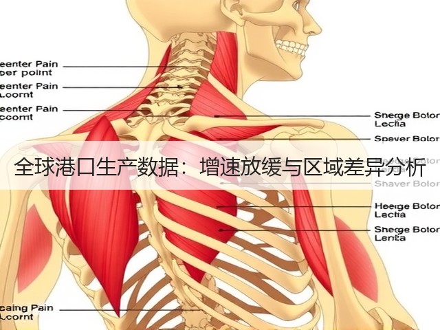 全球港口生产数据:增速放缓与区域差异分析(图3) 全球港口生产数据:增速放缓与区域差异分析(图3)