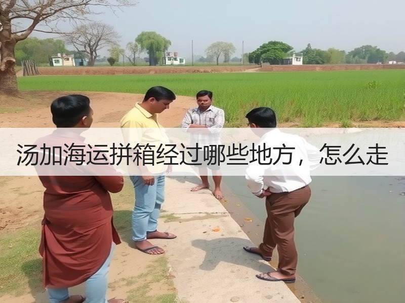 汤加海运拼箱经过哪些地方,怎么走 汤加海运拼箱经过哪些地方,怎么走