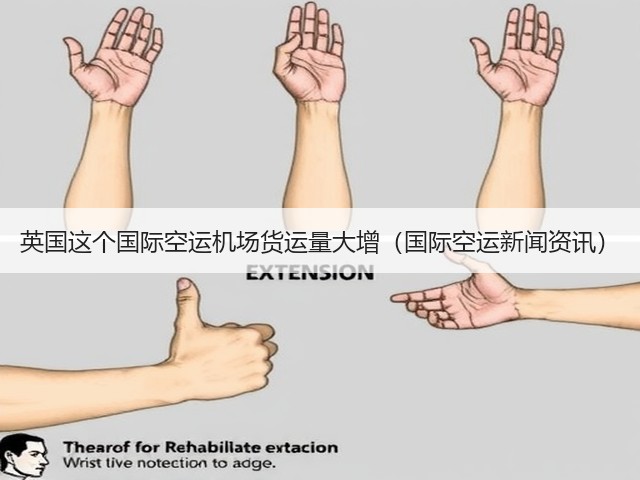 英国这个国际空运机场货运量大增(国际空运新闻资讯)(图3) 英国这个国际空运机场货运量大增(国际空运新闻资讯)(图3)