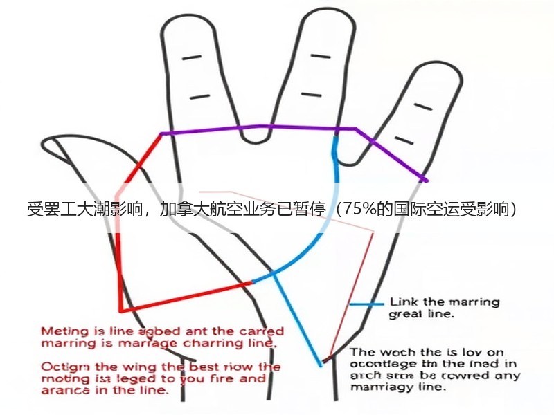 受罢工大潮影响，加拿大航空业务已暂停（75%的国际空运受影响）