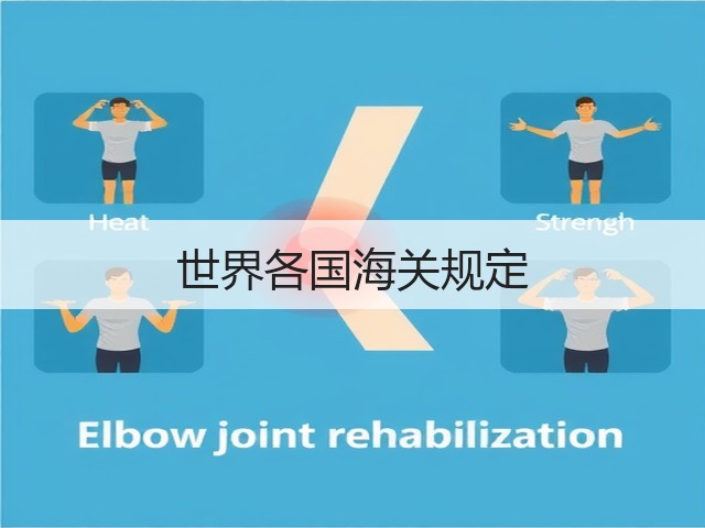 世界各国海关规定(图2) 世界各国海关规定(图2)